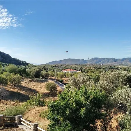 Datça Almond Valley Houses Villa *